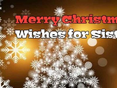 {100+} Merry Christmas Wishes, Messages, Quotes for Sister