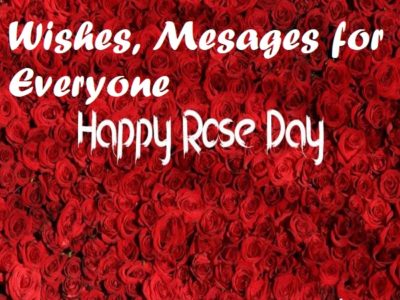 {200+} Rose Day Wishes, Messages, Quotes for Everyone | Status