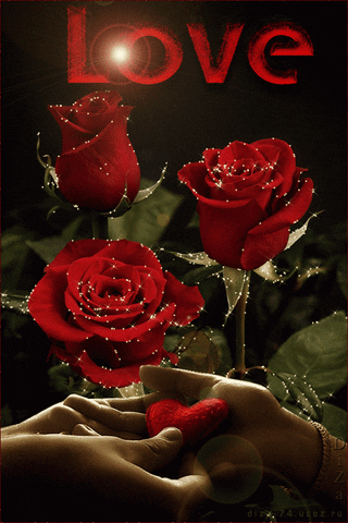 happy rose day gif