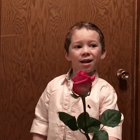 rose day gif images