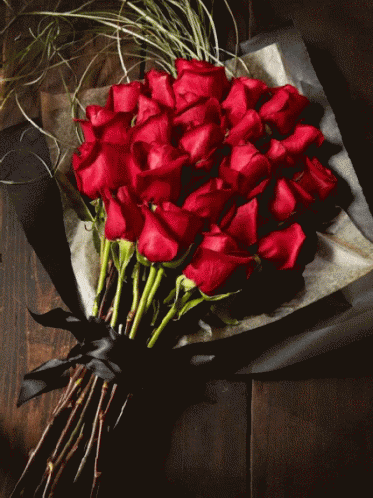 rose day gif images1