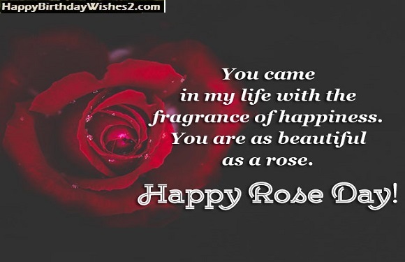 rose day status for husband