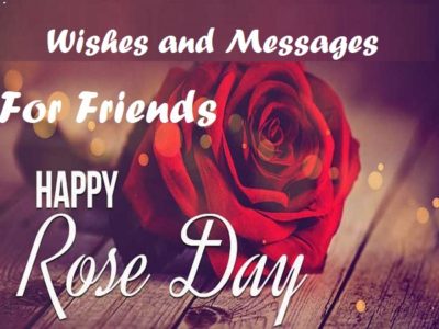 Best Rose Day Wishes, Messages, Quotes for Friends | Status