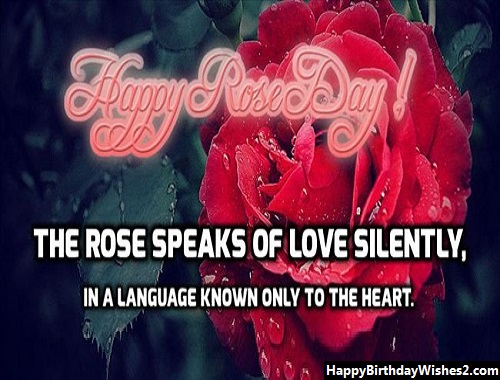 couple rose day images