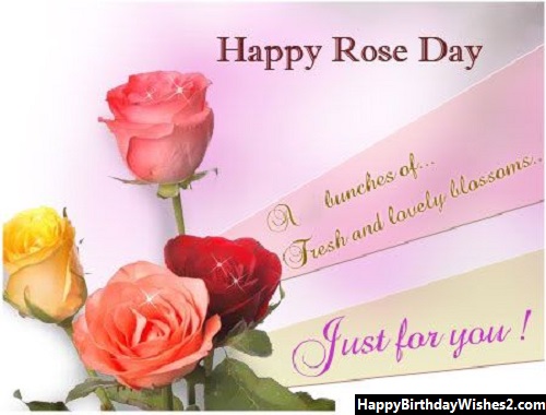 rose day image shayari