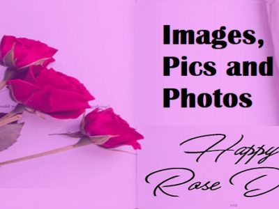 Best Rose Day Images, Photos, Pics, Wallpapers for Everyone