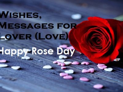 {100+} Rose Day Wishes, Messages, Quotes for Love / Lover