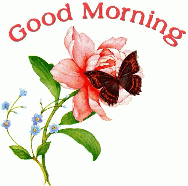 Good-Morning-Roses-GIF