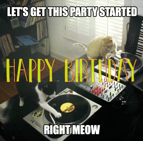 35+} Funny Happy Birthday GIF, Animated Images for Everyone