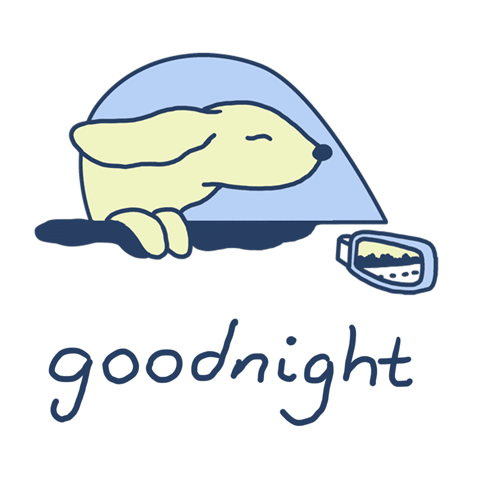 good-night-gif-animation