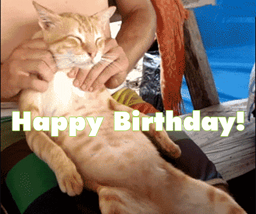 happy birthday gif for her funny