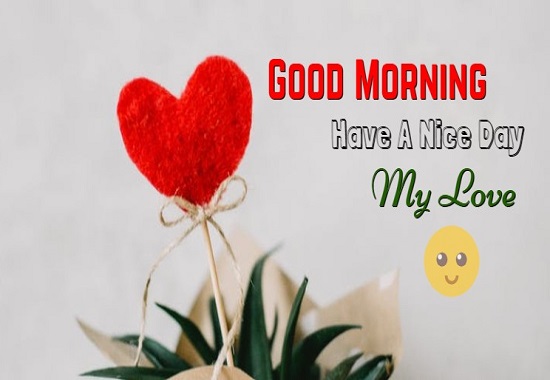 {100+} Beautiful Good Morning Messages for Him(Husband) | Text, SMS ...