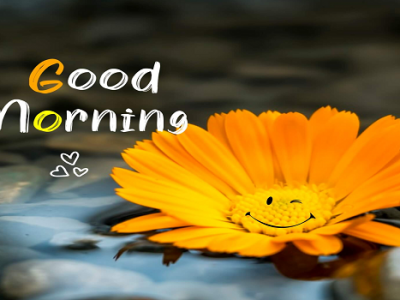 {120+} Best Inspirational Good Morning Wishes, Messages, Quotes | Motivational Quotes