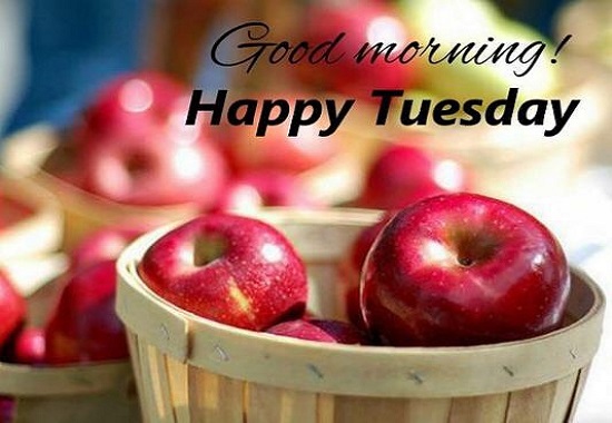 happy tuesday wishes