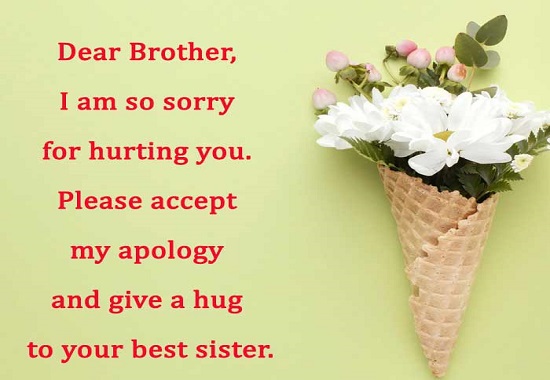 sorry message to sister
