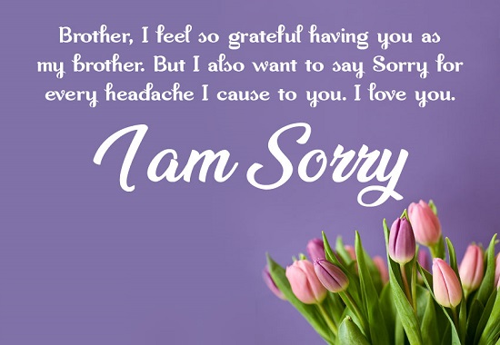 sorry quotes for brother from sister