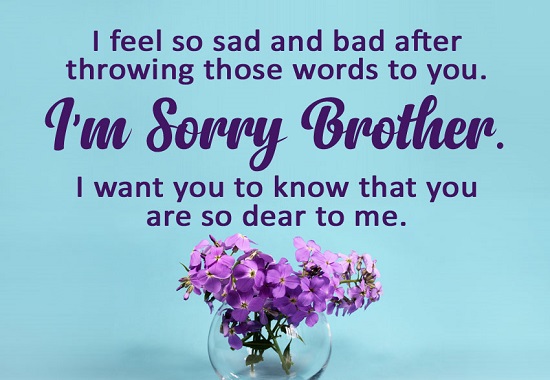 sorry text for brother