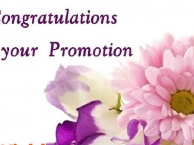 {60+} Best Congratulations Wishes, Messages, Quotes on Job