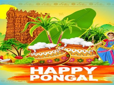 {80+} Happy Pongal Wishes | Pongal Greetings, Quotes, Status