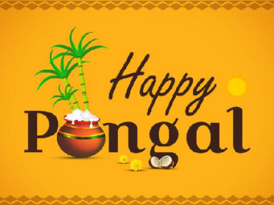 {20+} Pongal GIF Images | Pongal Animated GIF Wishes