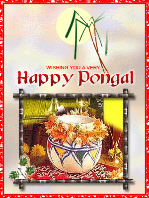 happy pongal gif1