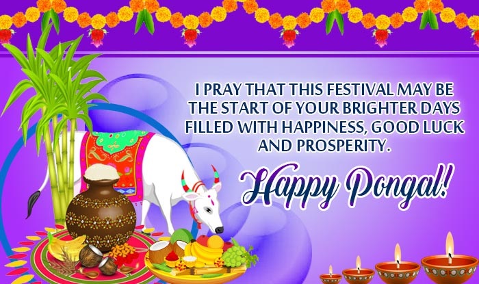 happy pongal wishes
