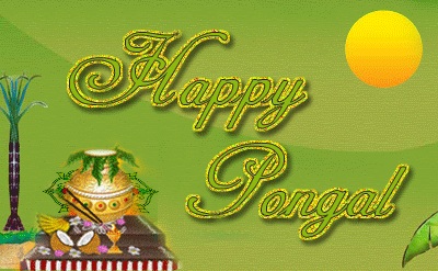 20+} Pongal GIF Images | Pongal Animated GIF Wishes