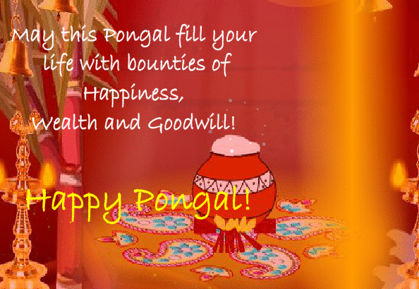 pongal wishes gif images